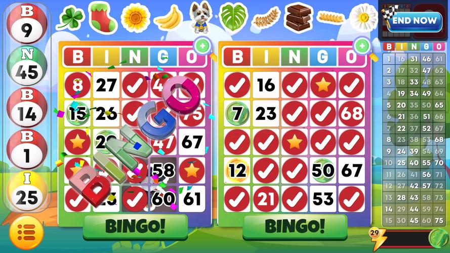 Bingo Classic应用截图第2张