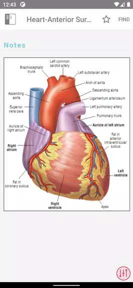 ECG Notes: Quick look-up ref.应用截图第2张
