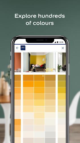 Dulux Visualizer Скриншот 1