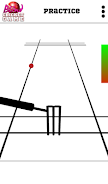 Blind Cricket ภาพหน้าจอ 1