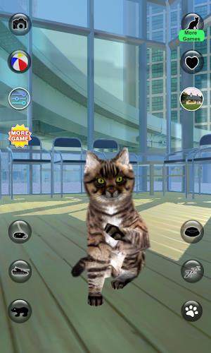 Talking Reality Cat Captura de pantalla 1