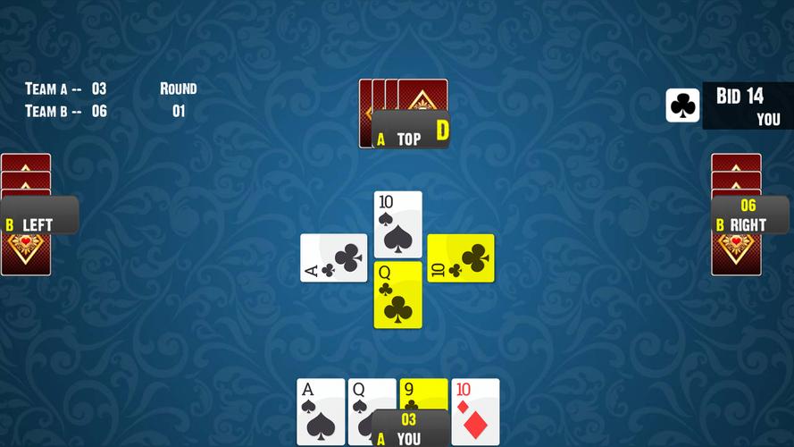 28 Card Game:Offline Card Game Captura de tela 2