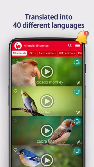 Animals Ringtones ภาพหน้าจอ 2