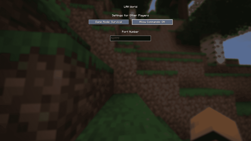 Minecraft LAN SCRECE Java Edition'a Açık