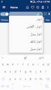 English Urdu Dictionary Zrzut ekranu 3