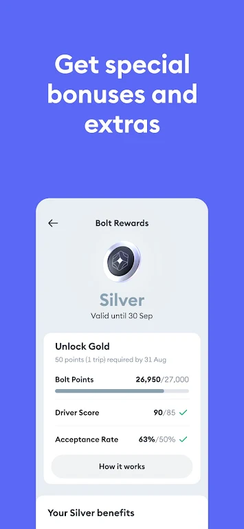 Bolt Driver: Drive & Earn Ekran Görüntüsü 1