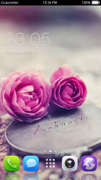 Pink Roses Theme C Launcher Screenshot 0