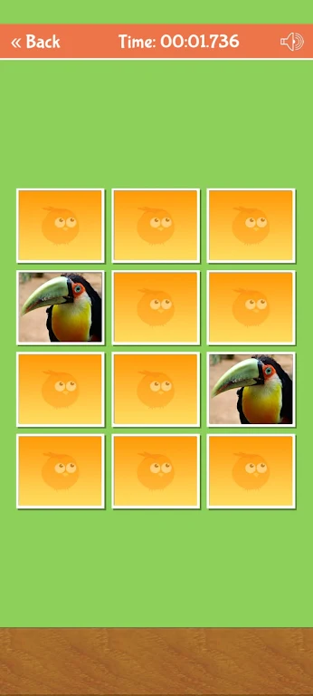 Birds Memory Match Game Ảnh chụp màn hình 0