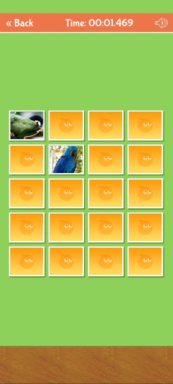 Birds Memory Match Game Ảnh chụp màn hình 2
