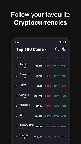 Hodler – Crypto Portfolio Capture d'écran 0