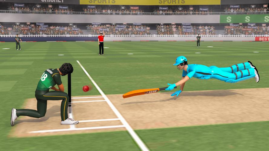 Real World Cricket Games应用截图第1张