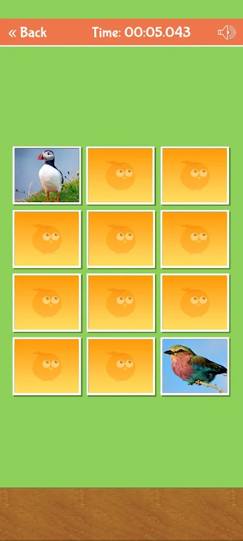 Birds Memory Match Game Ảnh chụp màn hình 1