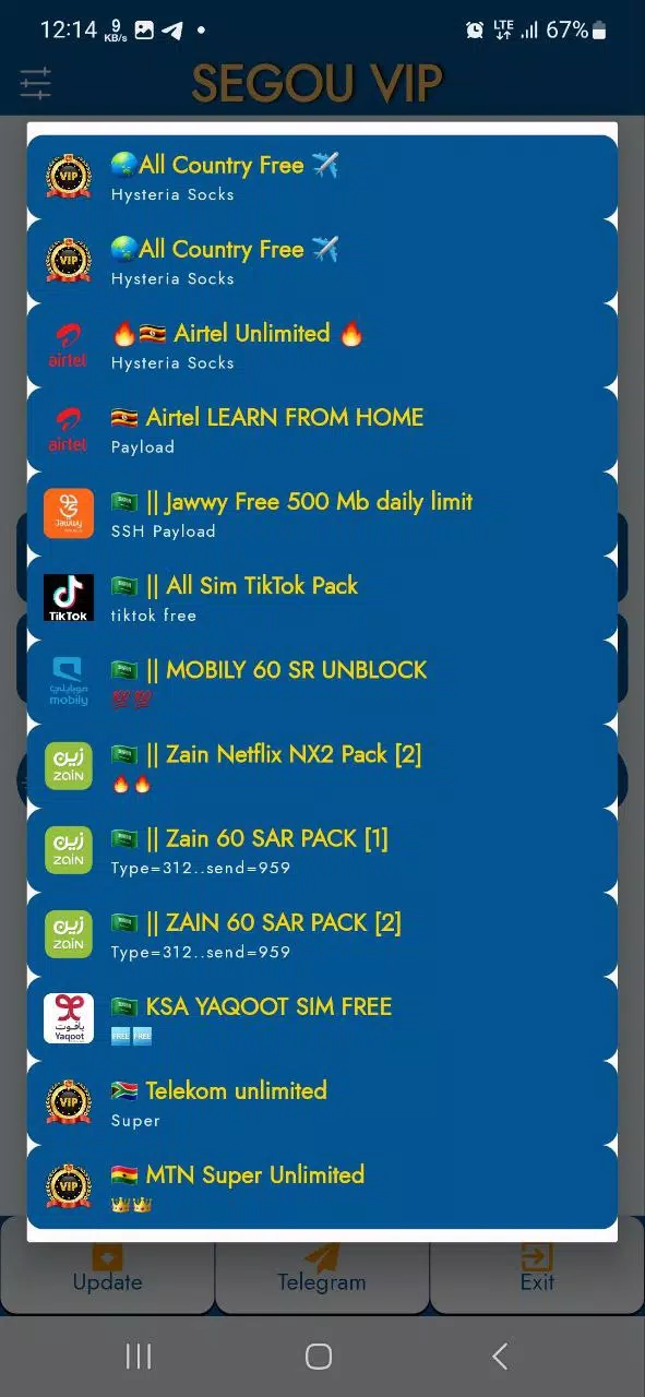 SEGOU VIP VPN ภาพหน้าจอ 2