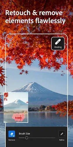 Lightroom Photo & Video Editor應用截圖第3張