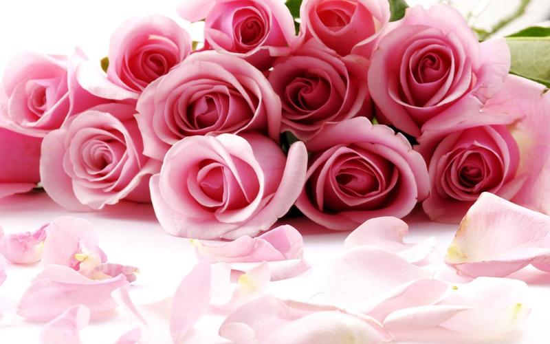Roses Jigsaw Puzzles應用截圖第2張