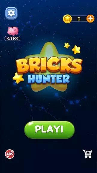 Bricks Hunter : Cube Puzzle Captura de pantalla 0