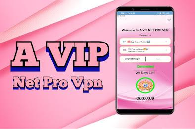 A VIP NET PRO VPN Capture d'écran 0