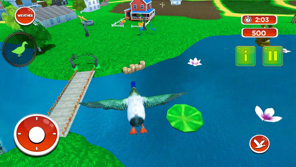 Talking Duck Bird game Screenshot 2