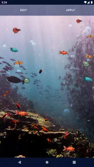 Ocean Fish Live Wallpaper 4K Zrzut ekranu 3