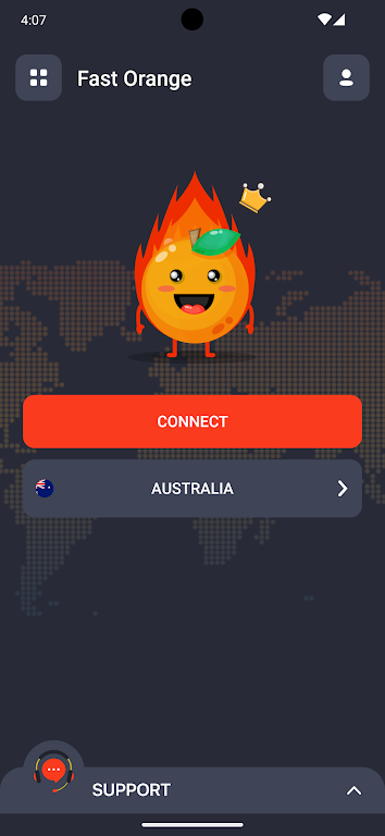 FastOrange VPN Capture d'écran 0