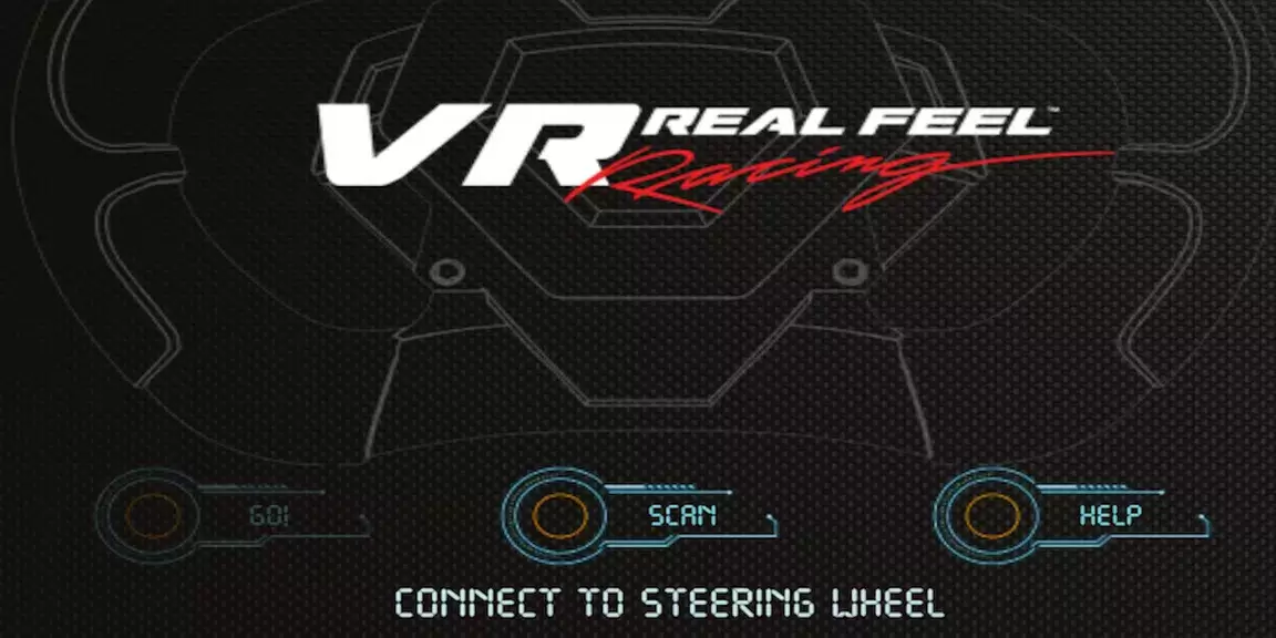 VR Real Feel Racing スクリーンショット 0