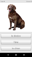 Learn French words with ST Captura de pantalla 3