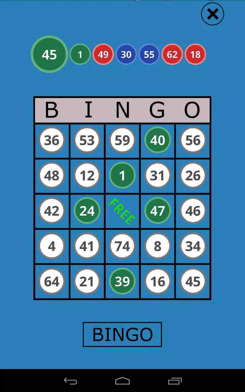 Schermata Classic Bingo Touch 3