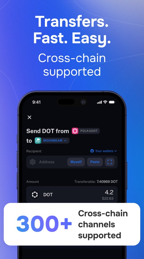 Nova Polkadot Wallet Скриншот 3