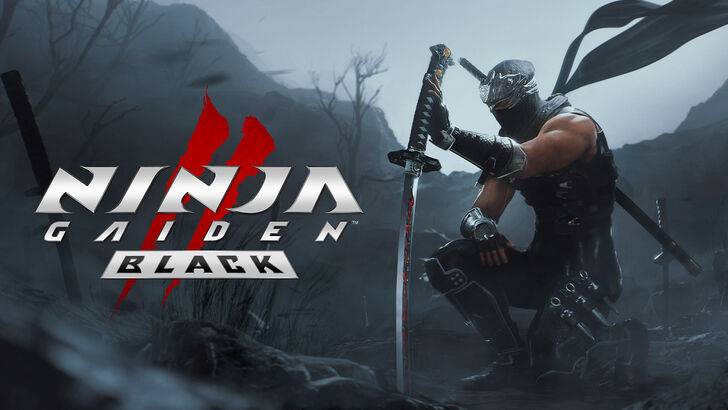 Ninja Gaiden 2 Black Remake