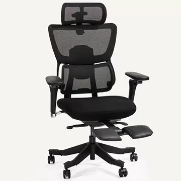 Flexispot C7 Max Ergonomic Chair