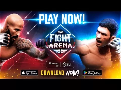 Aperçu du gameplay d'une arène de combat