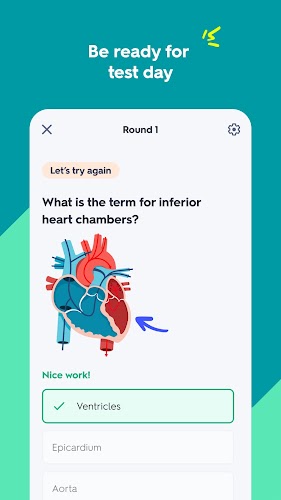 Quizlet: AI-powered Flashcards Ekran Görüntüsü 2