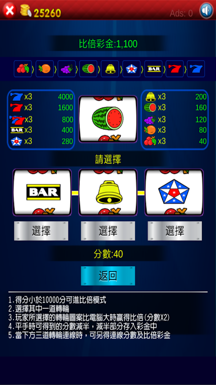 Fruit Slot Machine Casino Screenshot 2