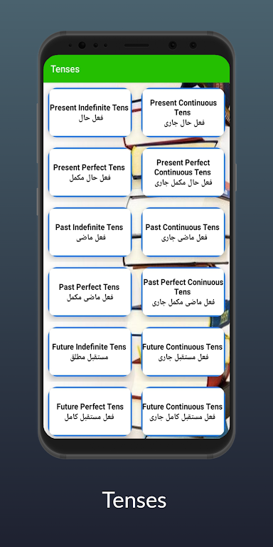 Learn English in Urdu Capture d'écran 2