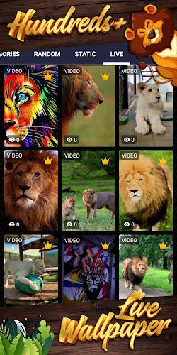 lion background Tangkapan skrin 2