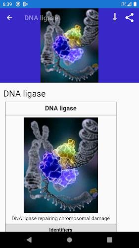 Molecular biology ภาพหน้าจอ 2