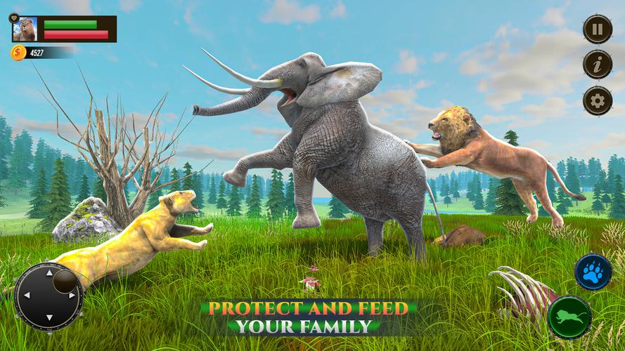 Jungle Kings Kingdom Lion Captura de pantalla 1