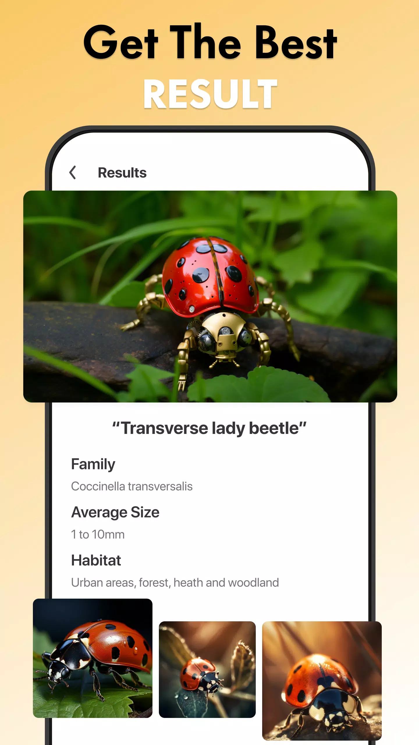 Insect Identifier Bug Identify Ảnh chụp màn hình 2