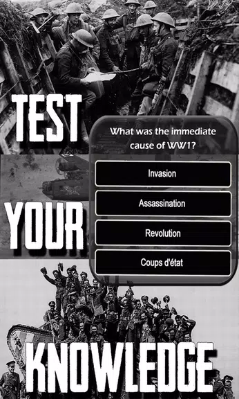 WW1 History Knowledge Quiz Captura de pantalla 2