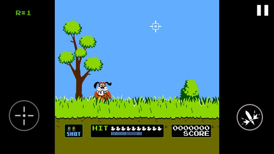 Duck Hunt Captura de pantalla 0