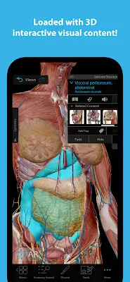 Human Anatomy Atlas 2024 स्क्रीनशॉट 0