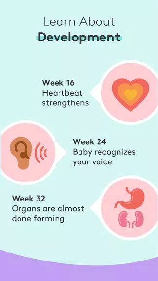 Pregnancy Tracker & Baby App 스크린샷 2