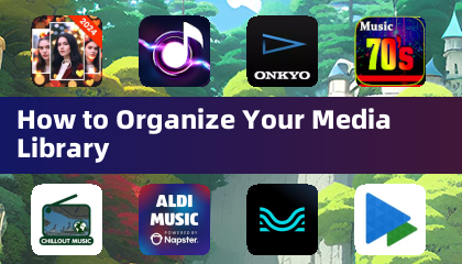 How to Organize Your Media Library